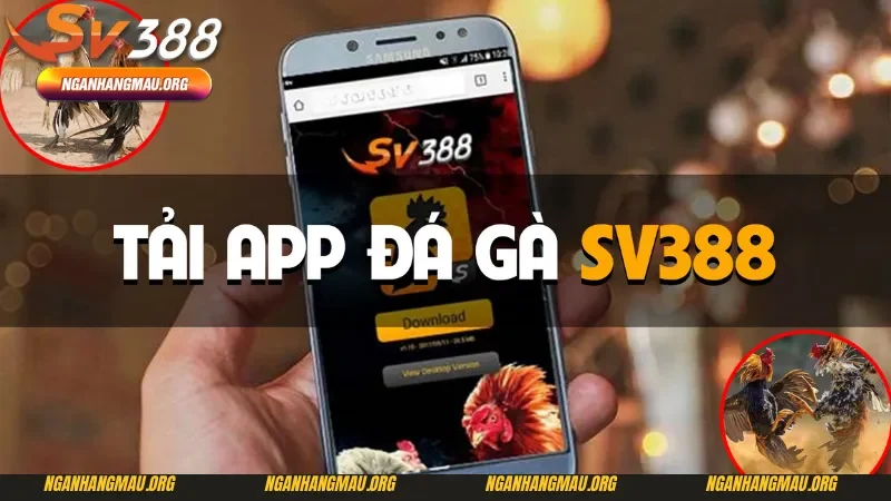 Một vài lợi ích sau khi tải app SV388 